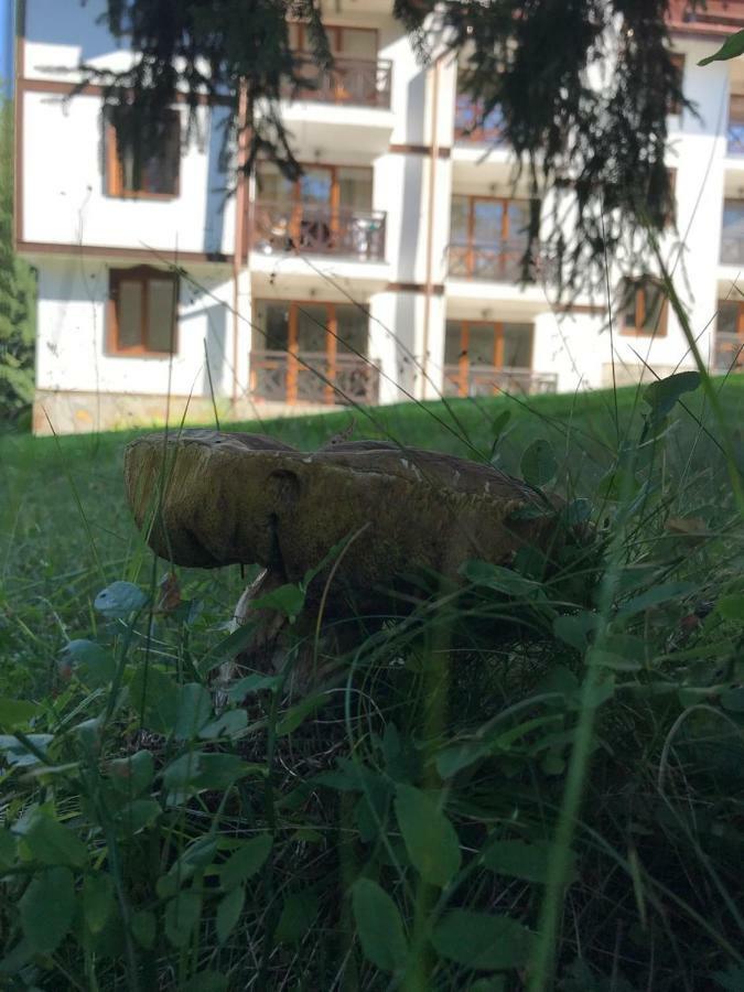 Family Apartment "Cosy Nature" Smolyan Extérieur photo